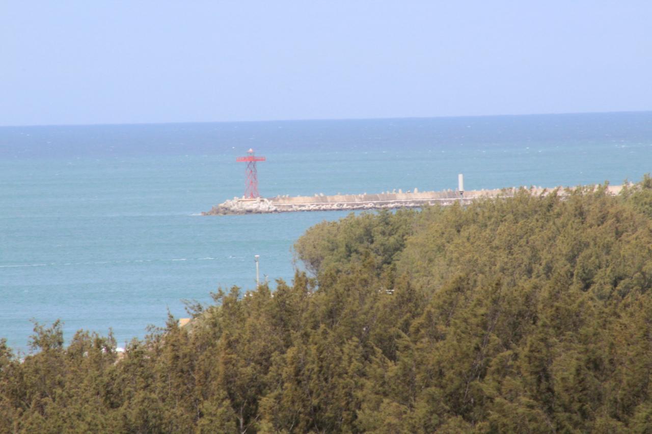 Seafront Apartment In 모젤베이 외부 사진